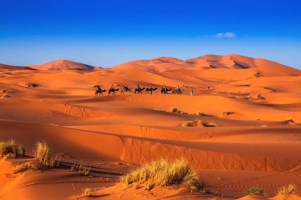 Merzouga Desert