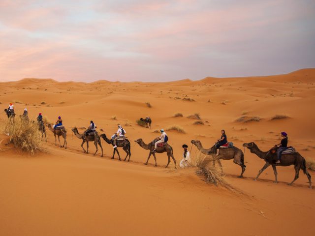 Overnight camel trek Merzouga