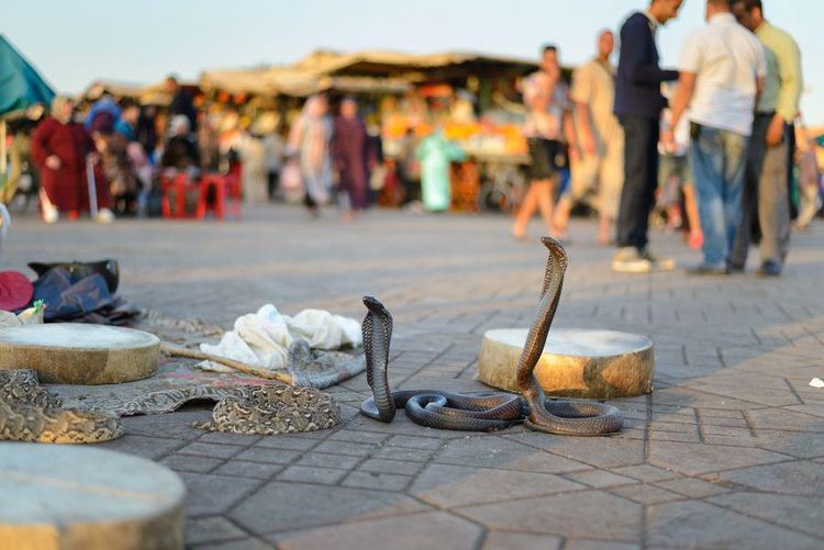5 Days Tour Marrakech to Merzouga