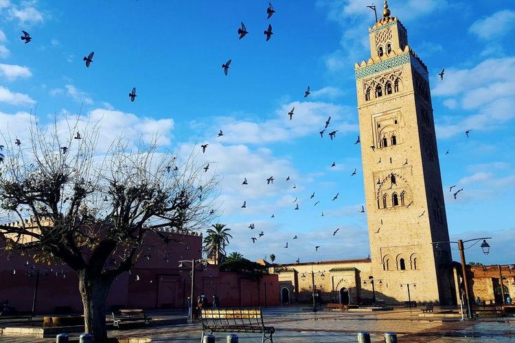 2 days tour from Marrakech to Zagora